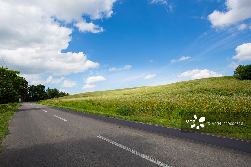 美瑛的道路图片素材