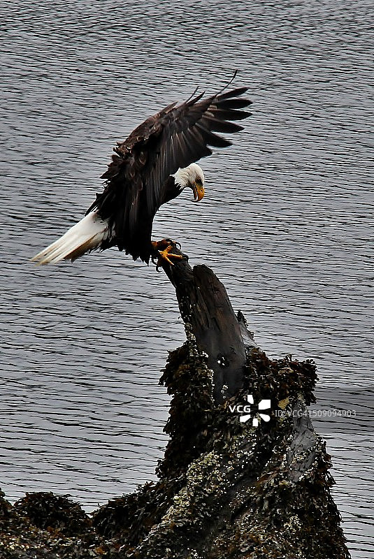 稳定着陆图片素材