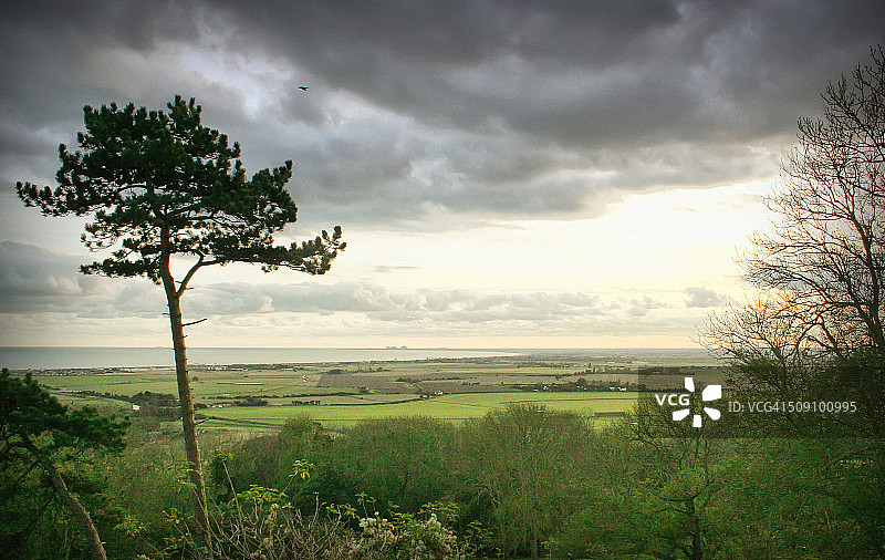 罗姆尼沼泽风光图片素材