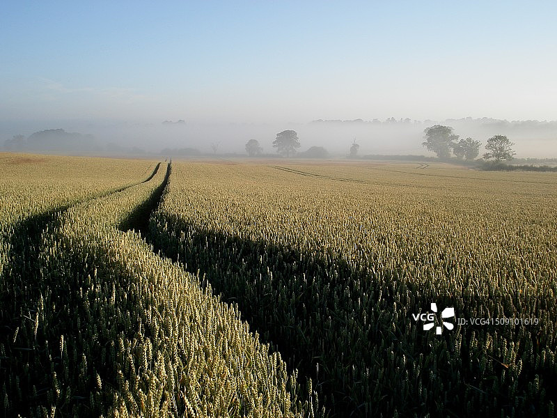 夏日足迹图片素材