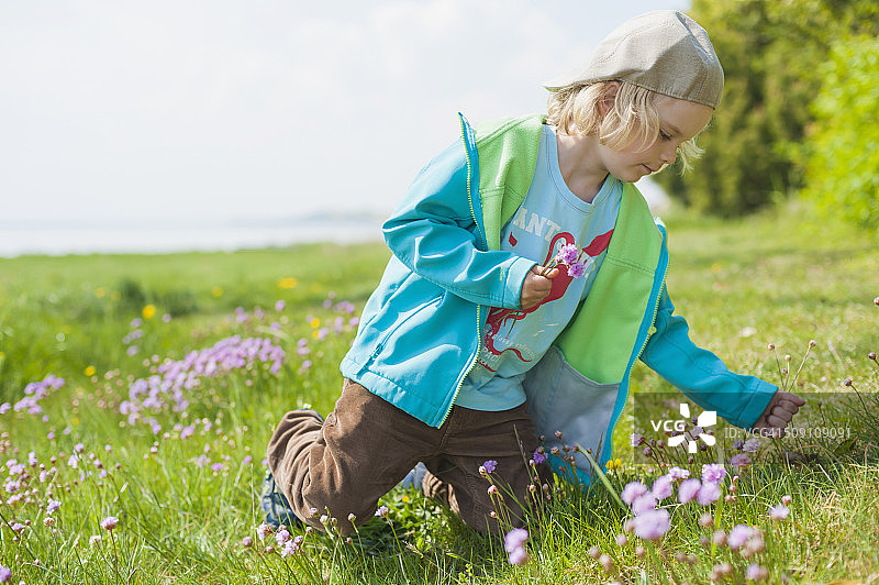 德国梅克伦堡-前波美拉尼亚 吕根岛 男孩在草地上摘花图片素材