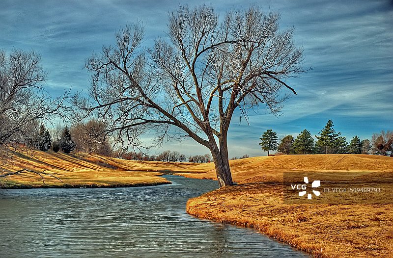 金色图像图片素材