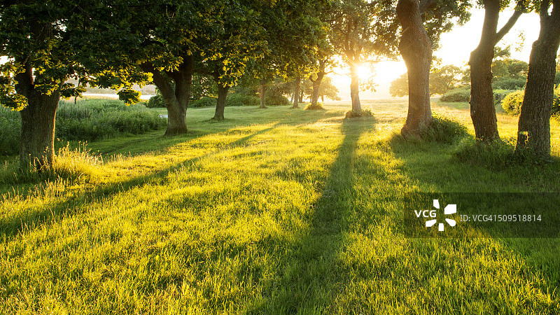 伊甸园图片素材