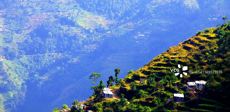 绿色景观图片素材