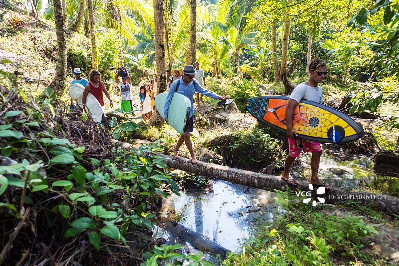 椰子林图片素材