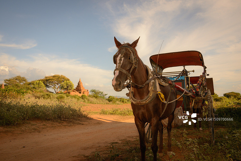 蒲甘交通运输图片素材