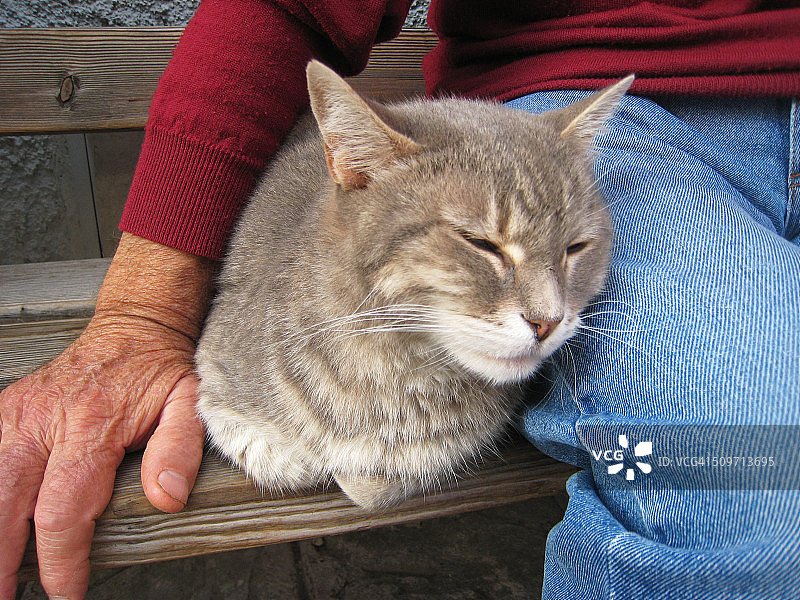 甜蜜的公司图片素材