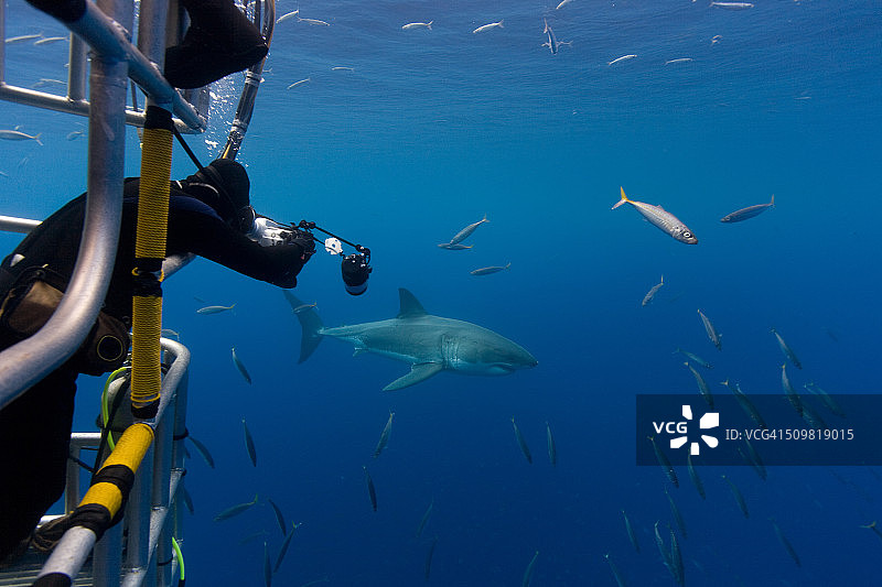 请勿将手和手臂伸出笼外图片素材