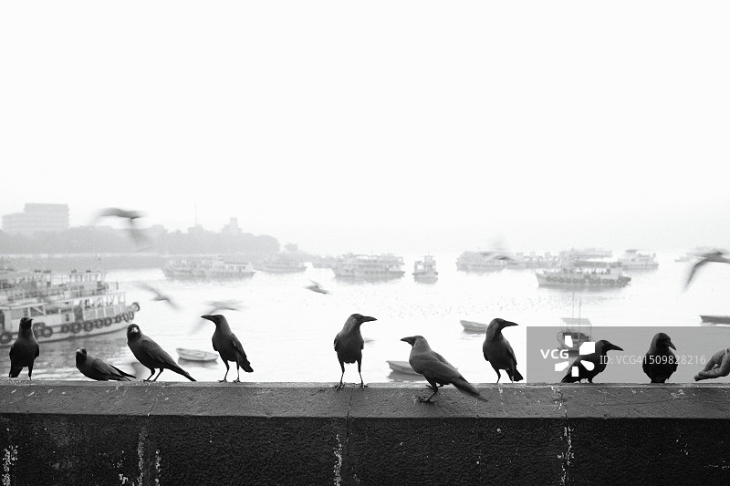 孟买港和印度门户的黎明图片素材