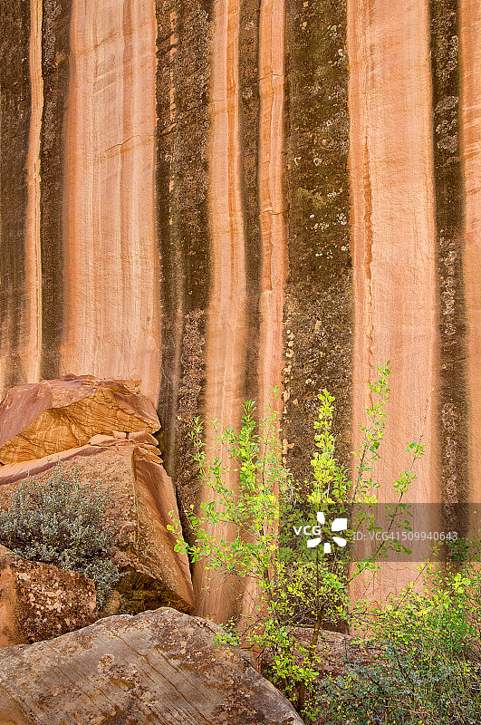 首都礁国家公园的沙漠漆图片素材