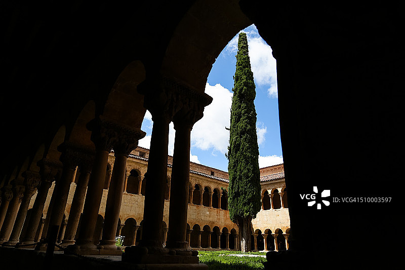 圣多明戈德西洛斯的柏树图片素材