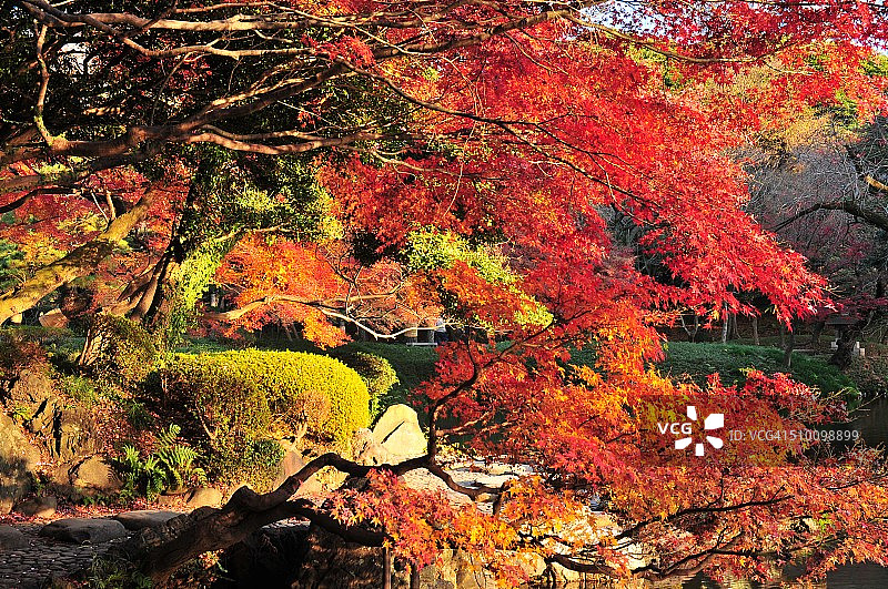 日式秋色图片素材