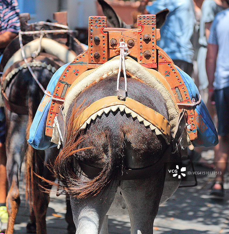 传统骑驴图片素材