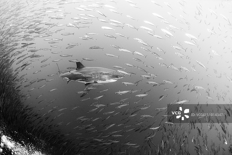 易如反掌图片素材