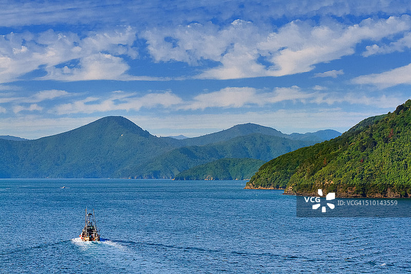 驶出皮克顿港的船图片素材