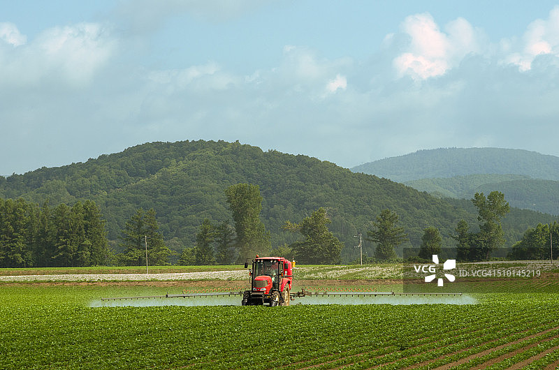 农民在俱知安町的田野里工作图片素材