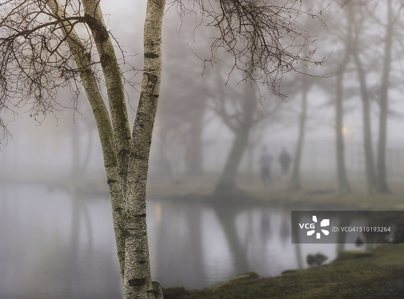 长岛巴比伦村阿盖尔湖的雾气早晨图片素材