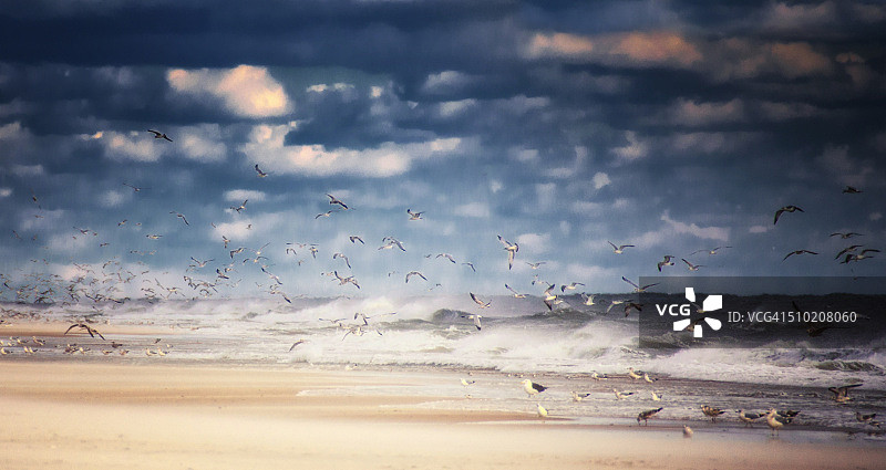 罗伯特·摩西州立公园的湿地海滩风光，纽约长岛图片素材