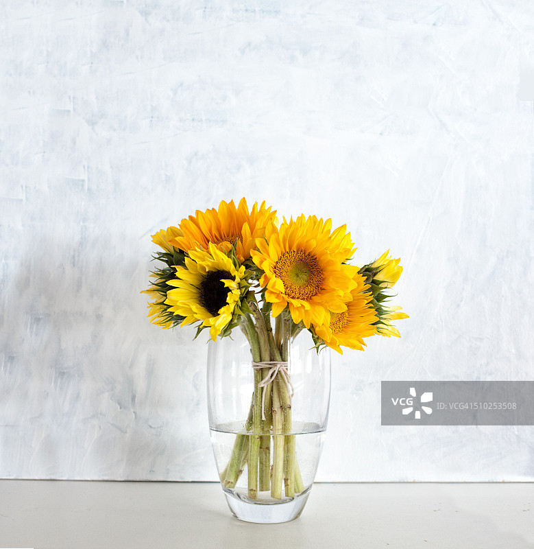 花瓶里的向日葵图片素材