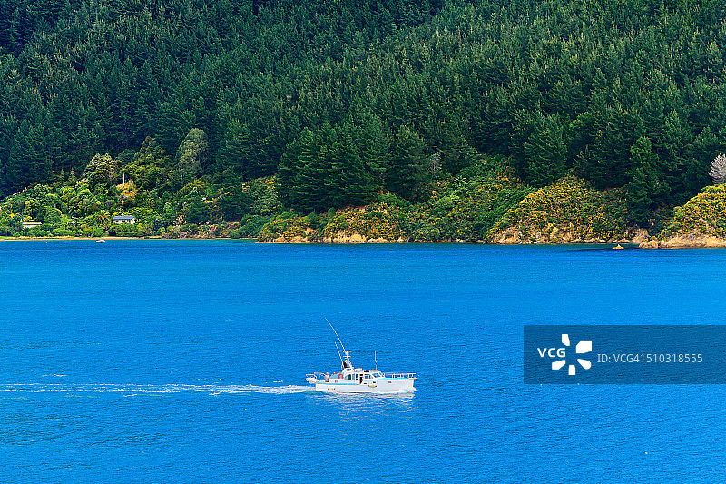 新西兰夏洛特女王峡湾的船只图片素材