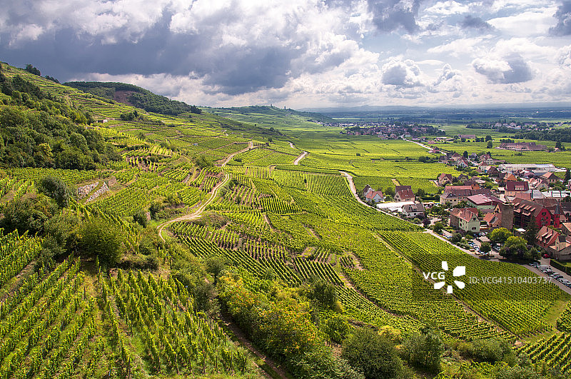 法国凯泽斯贝格阿尔萨斯的葡萄园图片素材