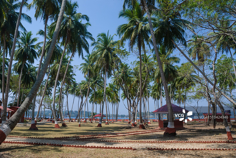 安达曼和尼科巴群岛的罗斯岛图片素材