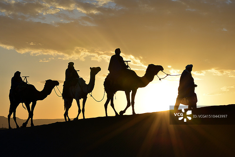 摩洛哥的骆驼商队图片素材