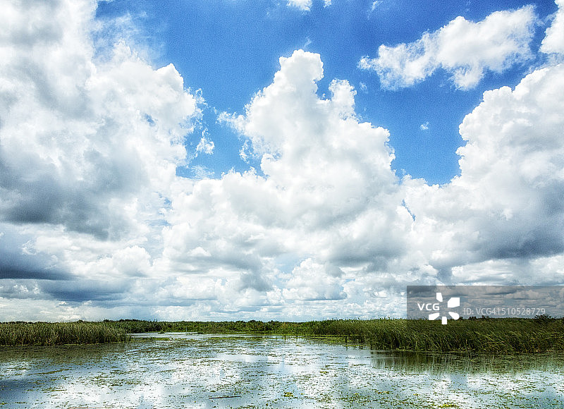 佛罗里达大沼泽地伊莫卡利图片素材