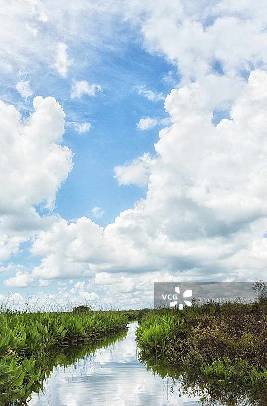 佛罗里达大沼泽地伊莫卡利图片素材