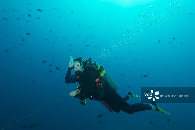 密克罗尼西亚帕劳的珊瑚礁钩图片素材