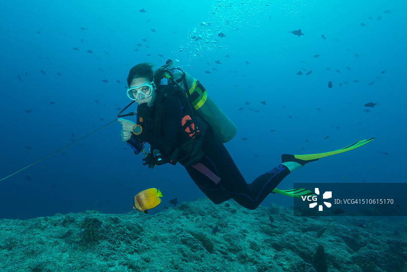密克罗尼西亚帕劳的珊瑚礁钩图片素材