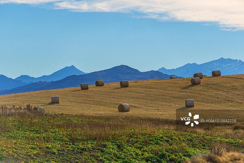 卷曲的干草草原图片素材