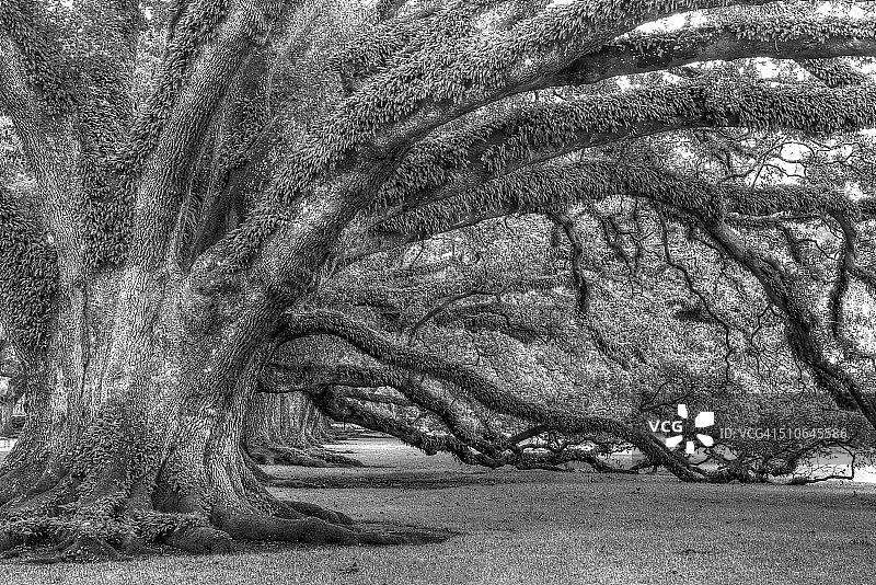 密西西比公路图片素材