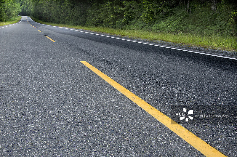 森林公路图片素材