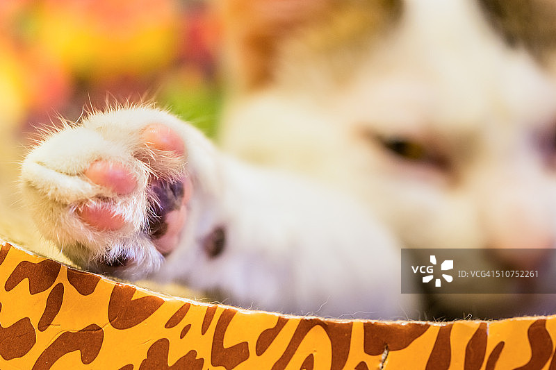 粉色垫片图片素材