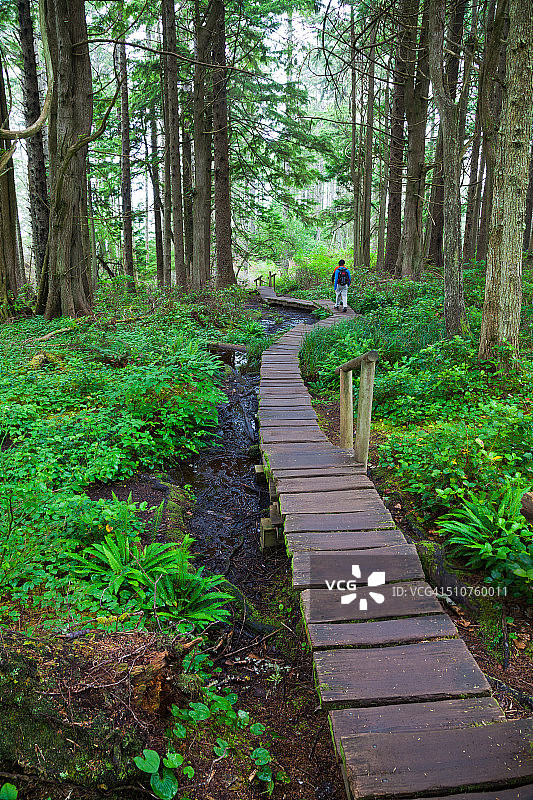 弗拉特里角木板路图片素材
