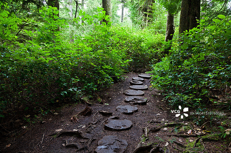 华盛顿州弗拉特里角的木板路图片素材