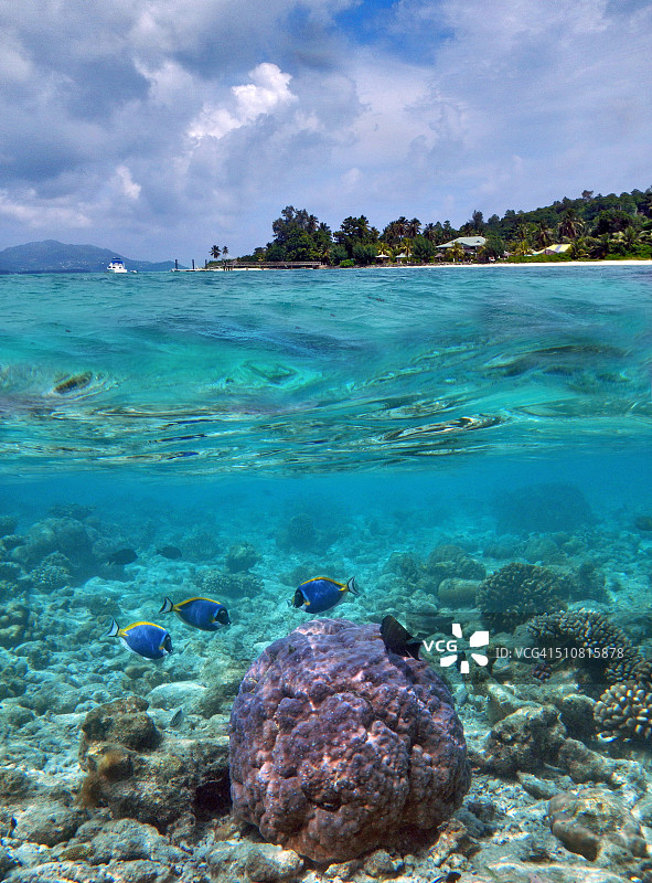 塞舌尔塞尔夫岛珊瑚礁和茂盛热带植被的分层景观图片素材