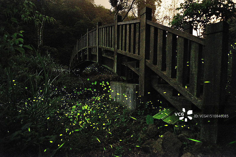 秘密桥梁图片素材