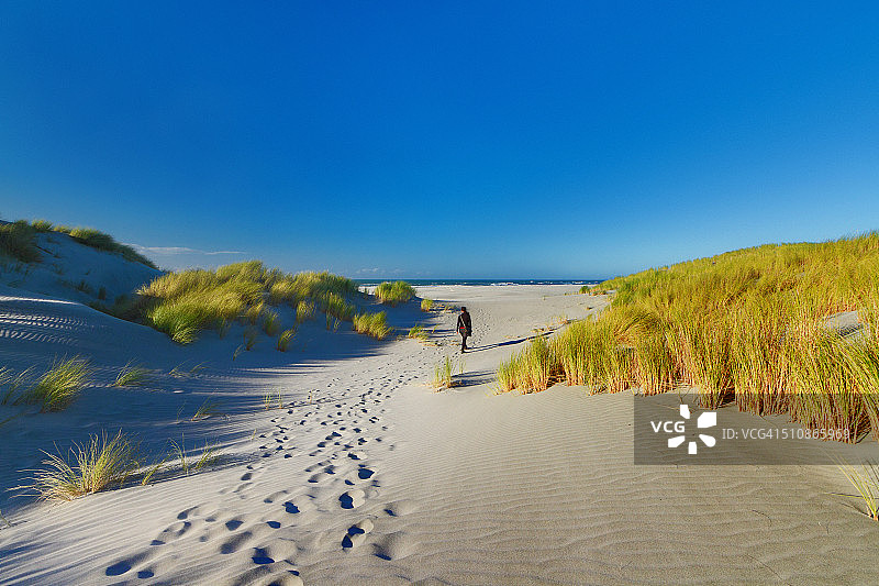 在新西兰告别沙洲沙滩上的女人图片素材