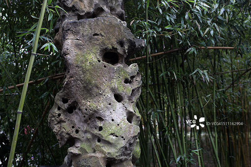 中国江苏扬州个园竹林太湖石美景图片素材