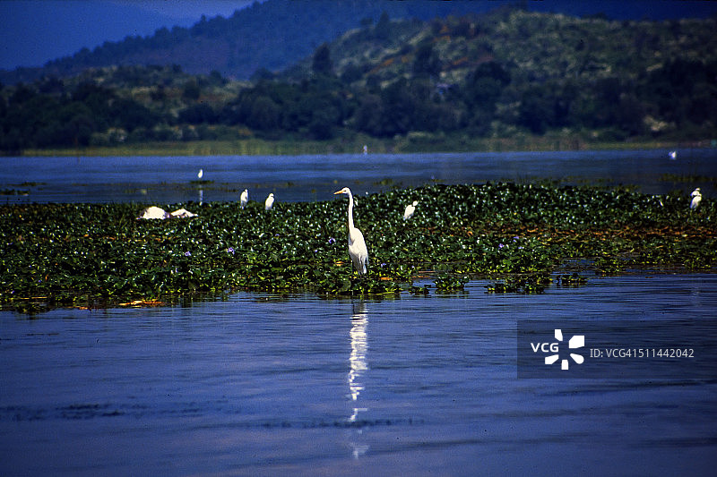 米却肯州帕茨夸罗图片素材