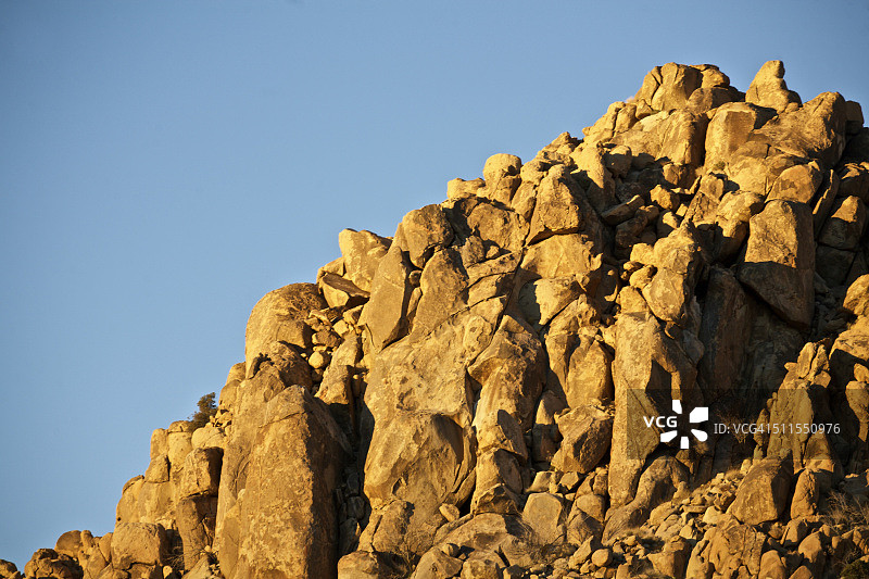 约书亚树国家公园图片素材