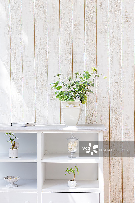 柜子上的盆栽图片素材