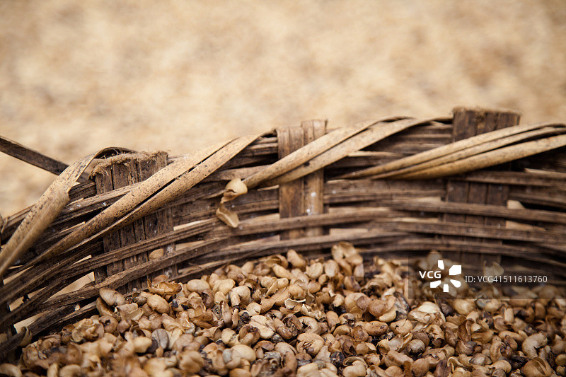 咖啡豆图片素材