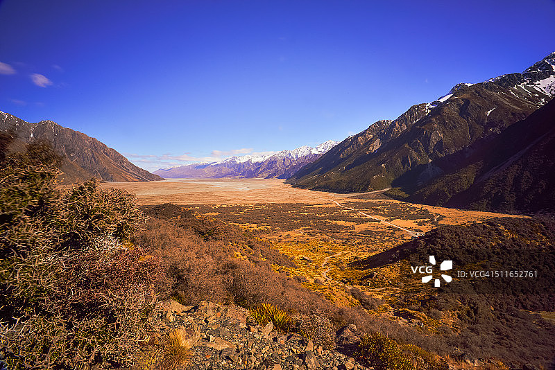 塔斯曼山谷的早春灌木图片素材