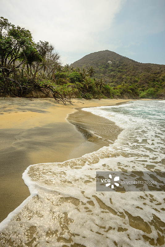 泰罗纳图片素材