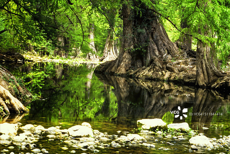 塞拉哈尔潘的树木和河流图片素材