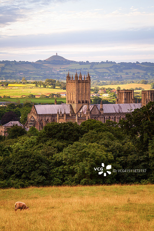威尔斯大教堂和格拉斯顿伯里山图片素材