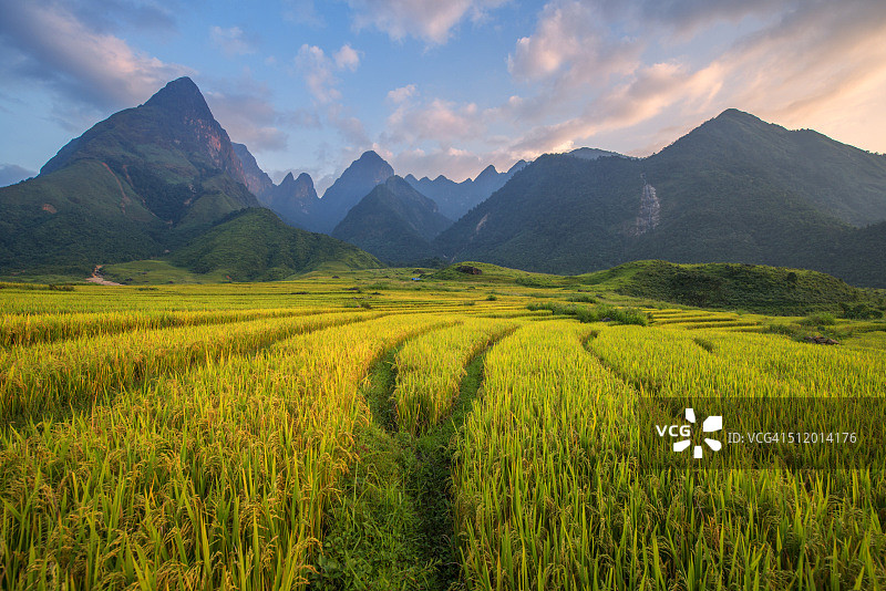 番西邦峰壮丽梯田风光图片素材